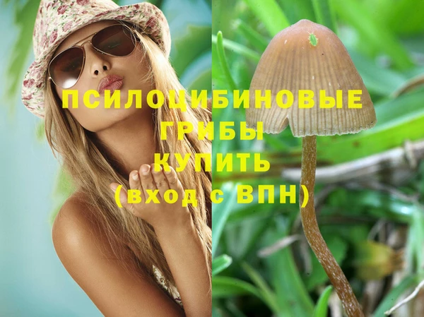 гидропоника Алзамай
