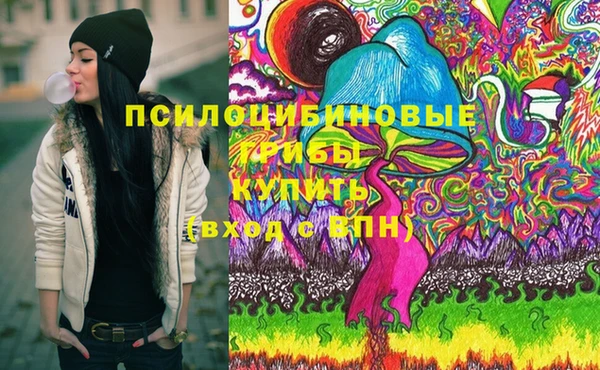 гидропоника Алзамай